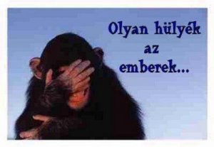 tn_aid4248_20080730105523_650